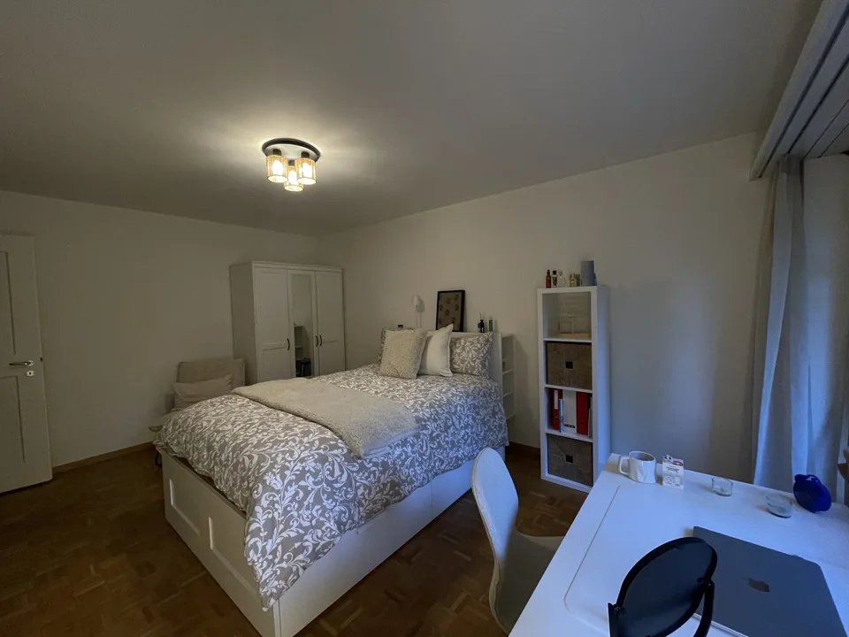 Room in a shared flat