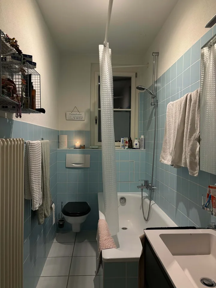 WG-Zimmer in großer Dachgeschosswohnung bis Ende Oktober
