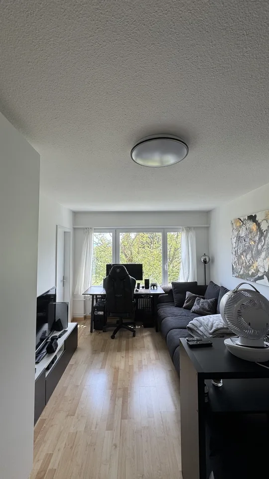1.5 room apartment in Dübendorf (6 months)