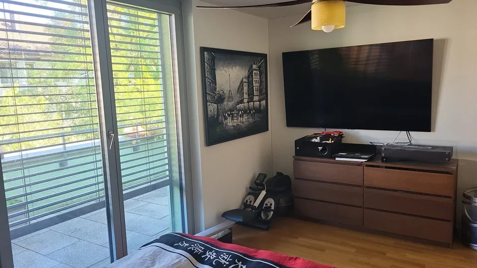 Beautiful Green Apartment Central Zurich