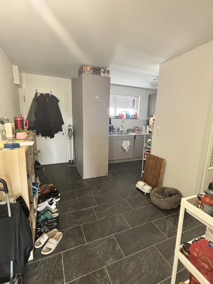 Bright Room in a Renovated Apartment | Spreitenbach | Available from September
