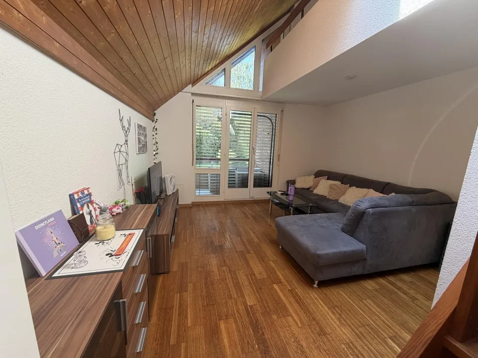 Traspaso de alquiler  Apartamento 1.5 en Witikon (Zürich). Lease Transfer  1.5-Room Apartment