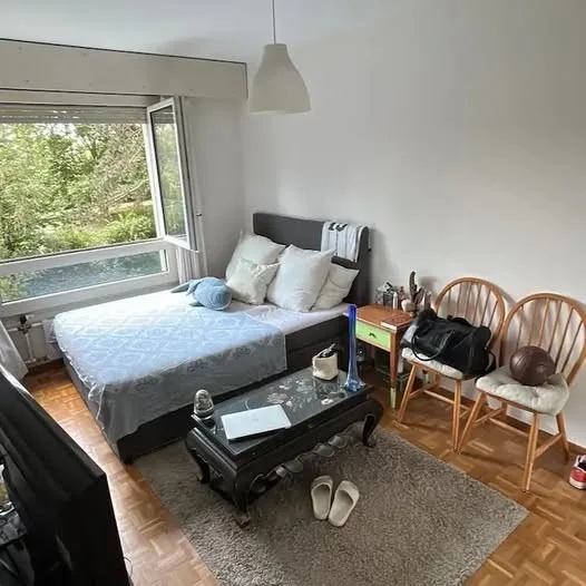 Cosy room in  the UN & IHEID neighborhood