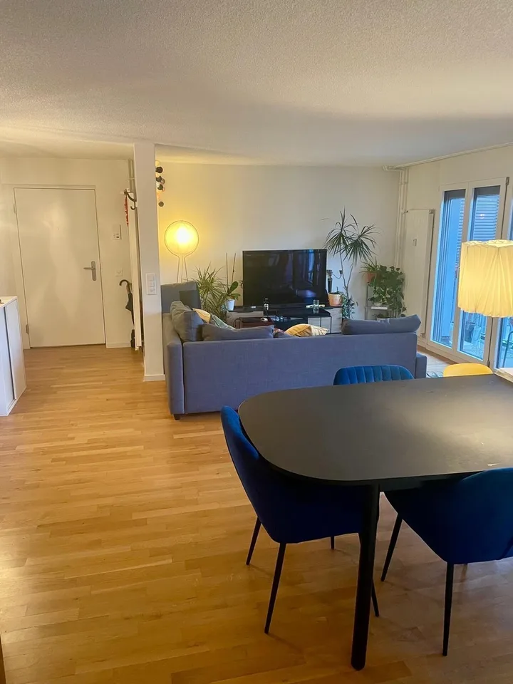 Room for temporary subrent in centrally located flat