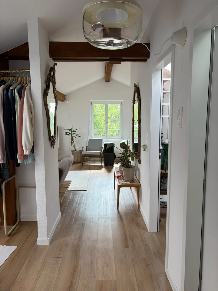 1 ½ Zimmer-Wohnung, 8002 zürich
