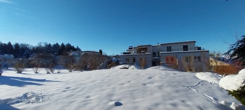 WG in (Birmensdorf Haslen) Uitikon Waldegg area/next to Triemli (edge of Zürich city)