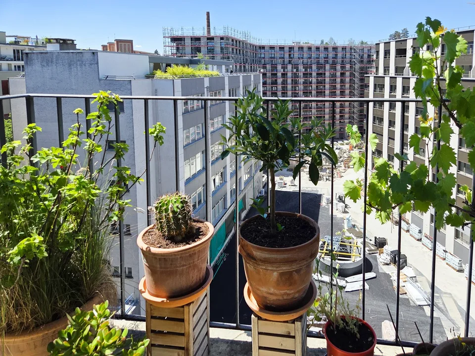 Sous-location (mi-octobre 2026 à décembre 2027) - Appartement 3 pièces meublé – Fribourg / Pérolles