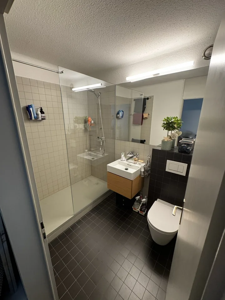 Renovierte und helle 1.5-Zimmer-Wohnung in Zürich-Höngg | Bezug ab 01.09.2026 | Nähe ETH Hönggerberg
