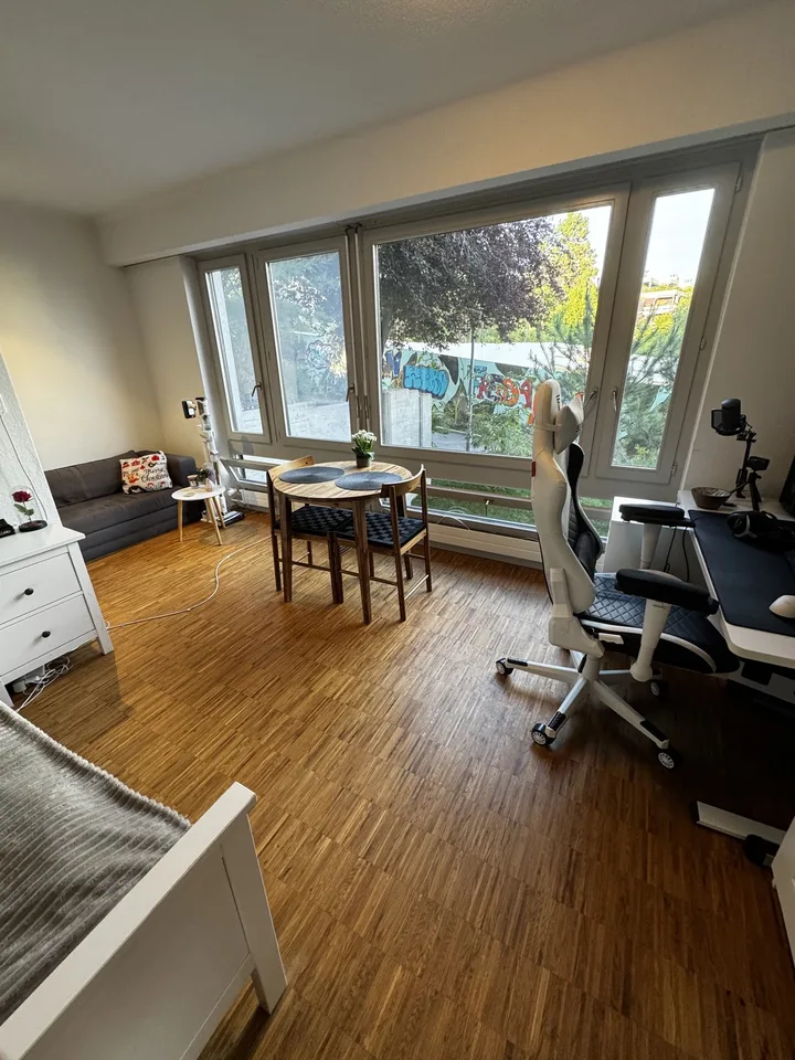 Renovierte und helle 1.5-Zimmer-Wohnung in Zürich-Höngg | Bezug ab 01.09.2026 | Nähe ETH Hönggerberg
