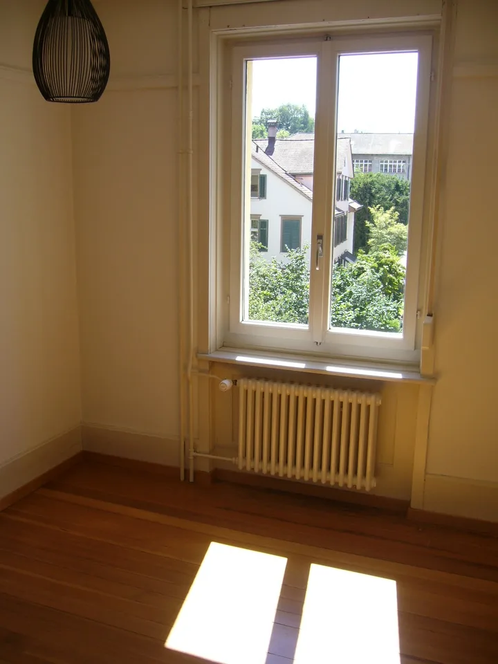3-Zimmer-Jugendstilwohnung