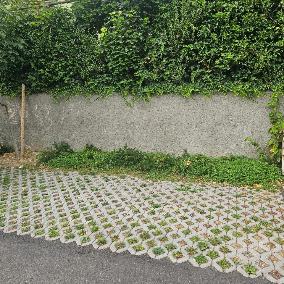 Parkplatz in 8045 Quartier (Alt-Wiedikon) zu Vermieten