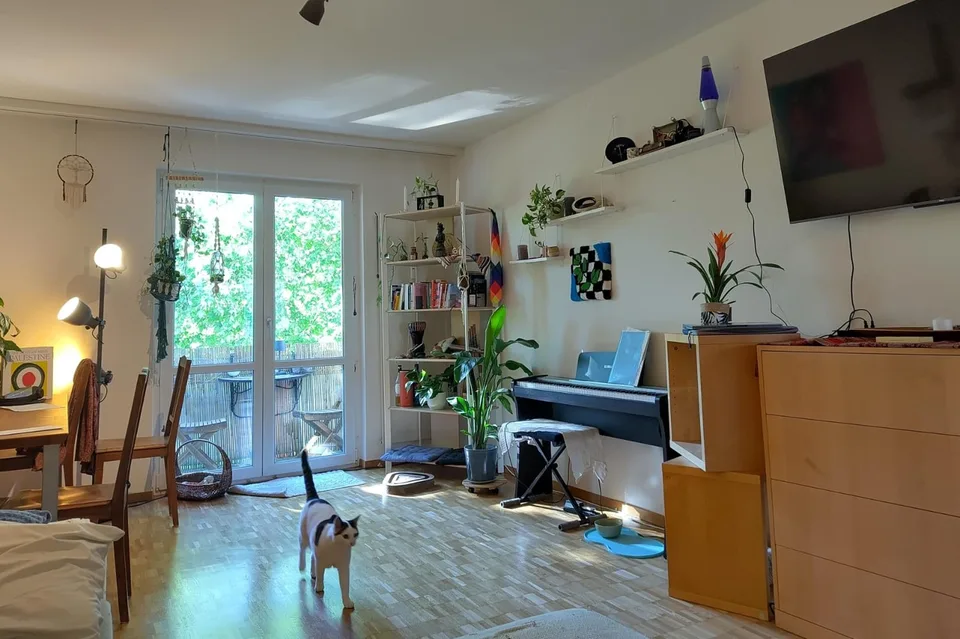 Housemate wanted!
