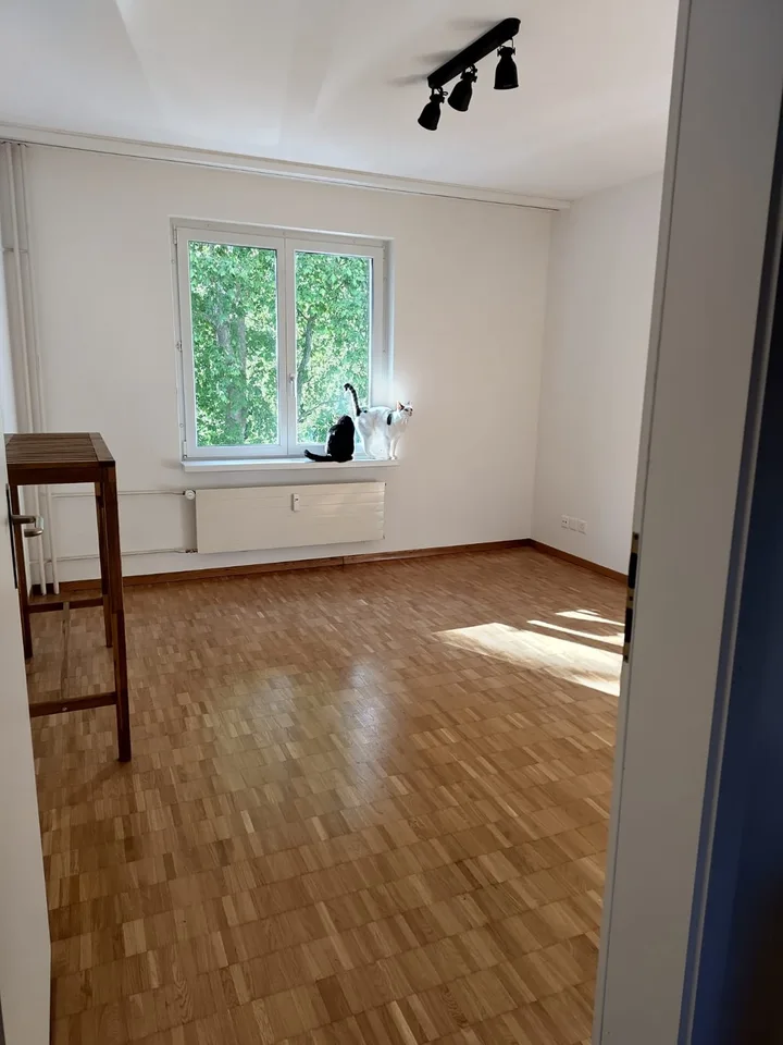 Housemate wanted!