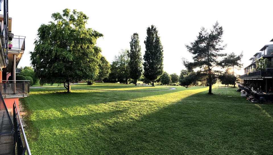 Im Grün und in der Nähe der Stadt leben