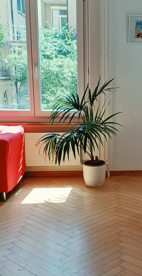 3-Zimmer-Wohnung