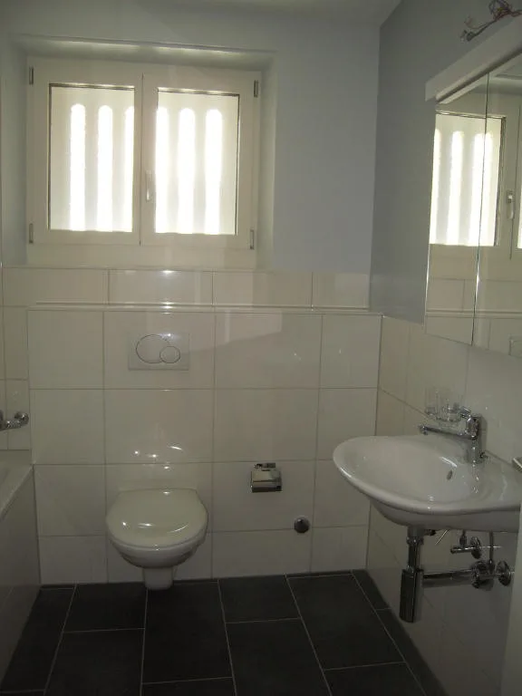 Grosse, helle 3.0-Zimmer-Wohnung in Allschwil