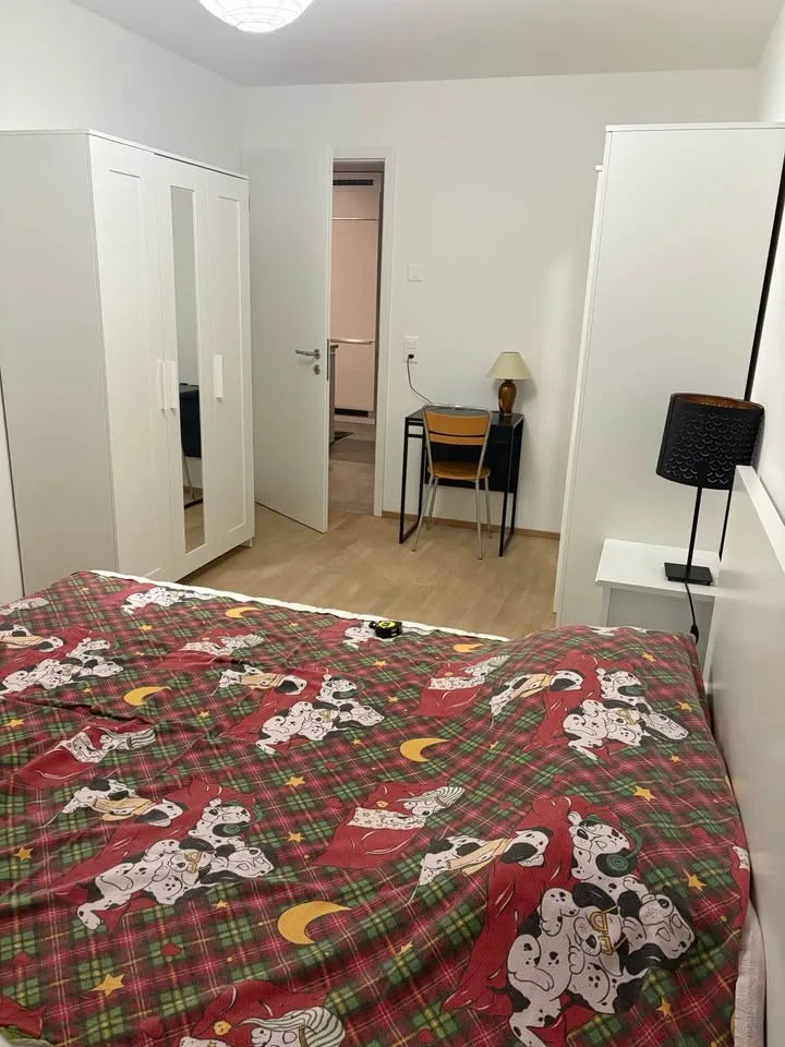 FR: Chambre spacieuse+Salle bain privée à louer dans appartement (81mq) neuf de standing – Nyon, quartier Petite Prairie.  ENG: Spacious Room+private toilet for Rent in Premium New Apartment (81mq)