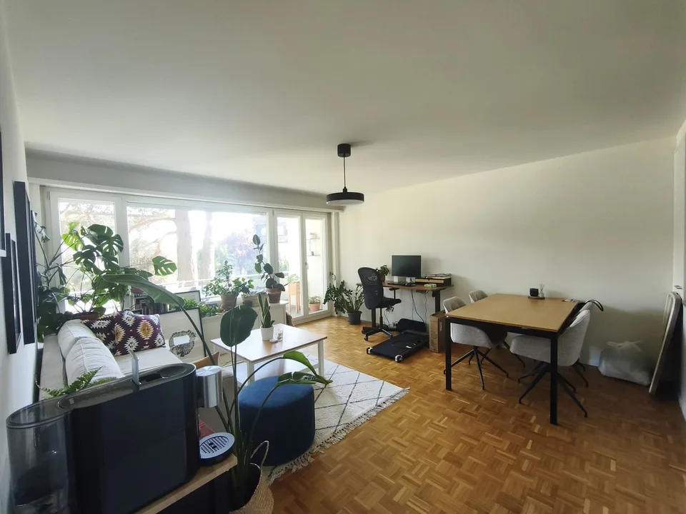 Calm and fresh apartment