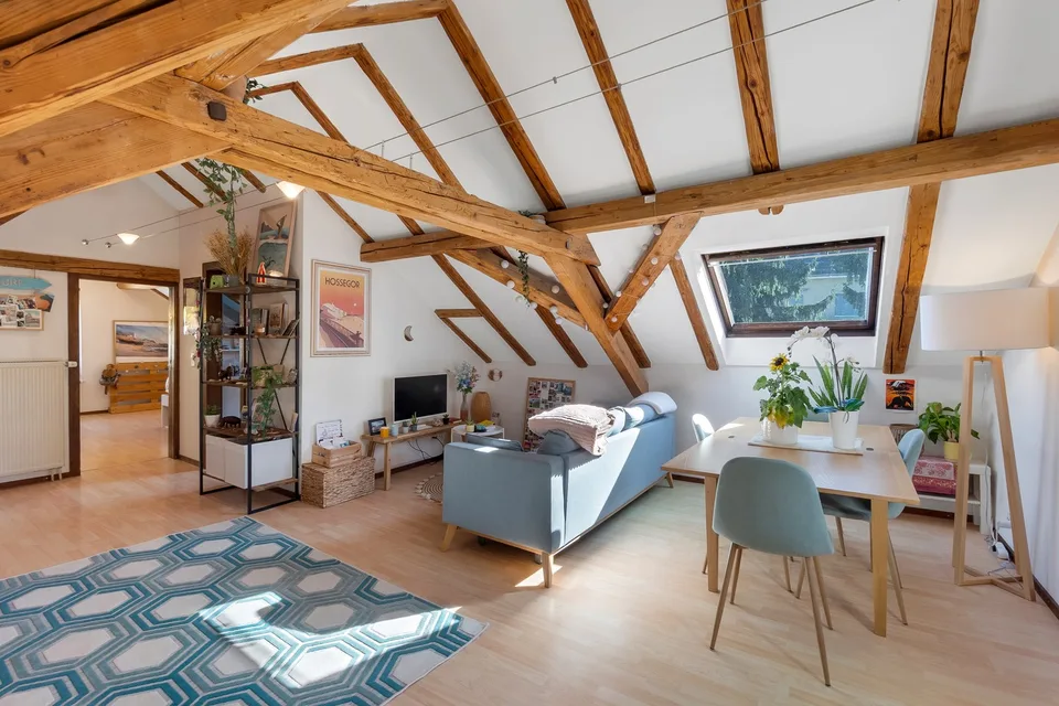 Furnished Apartment for Sublease  6 months  Zurich city center, Wiedikon district