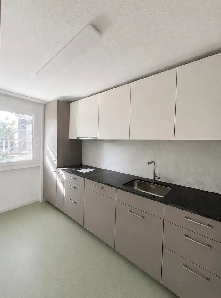 Appartement de 3,5 pièces rénové avec galerie à louer !