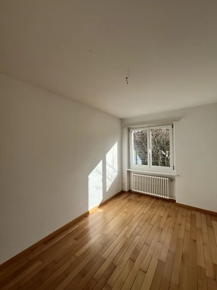 Appartamento di 4 camere in affitto a Ziefen