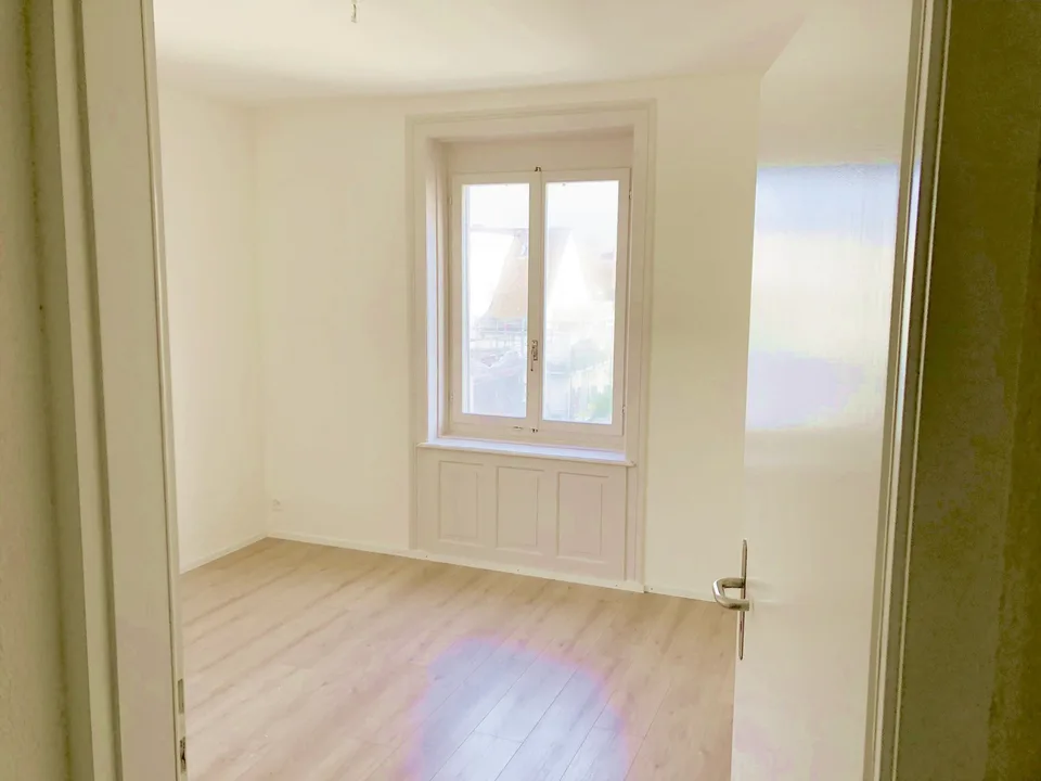 Charmante Dreizimmer-Wohnung (3.Stock)