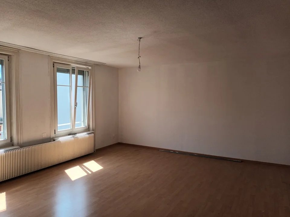Grosse Stadtwohnung an ruhiger Lage