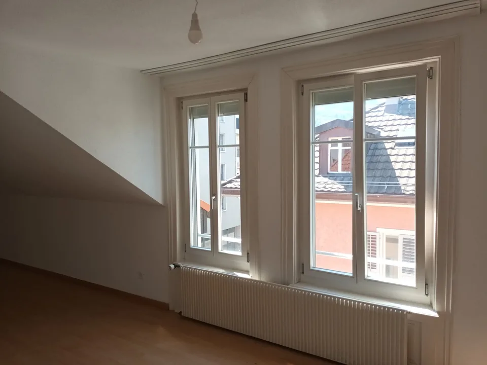 Grosse Stadtwohnung an ruhiger Lage