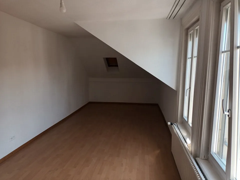 Grosse Stadtwohnung an ruhiger Lage