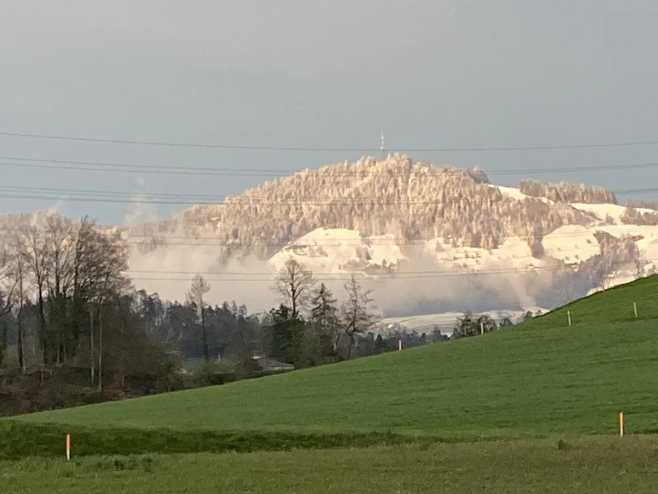 Die jetzigen Mieter wandern ins Ausland aus deshalb wird diese Wohnung frei
