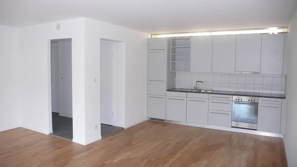 Appartement près de Sihl