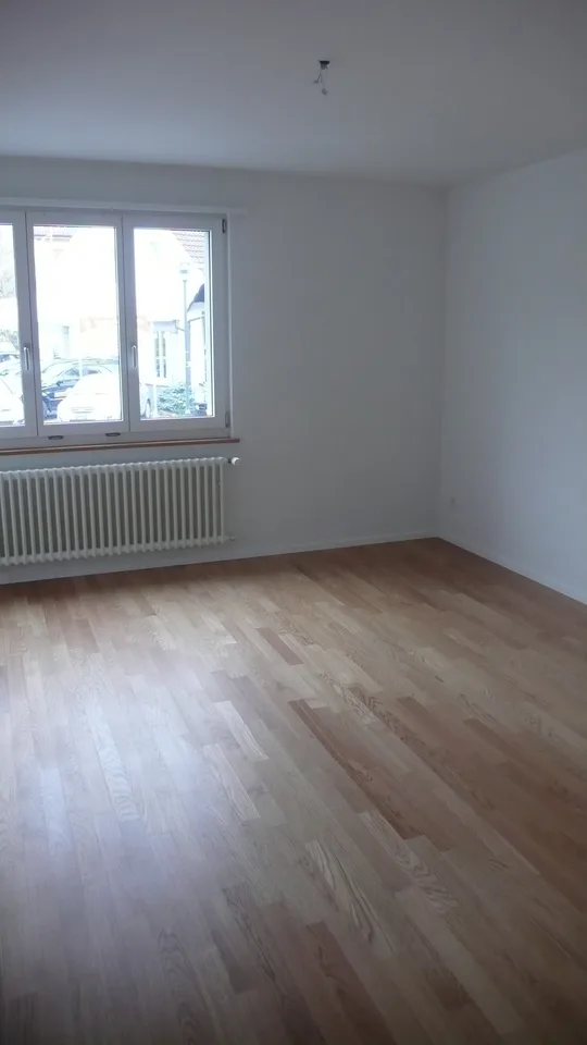 Appartement près de Sihl