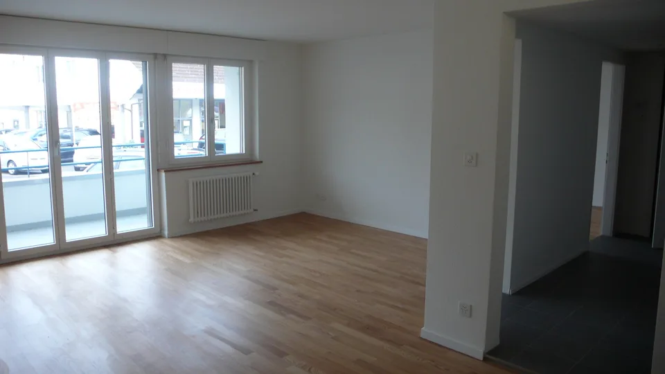 Appartement près de Sihl