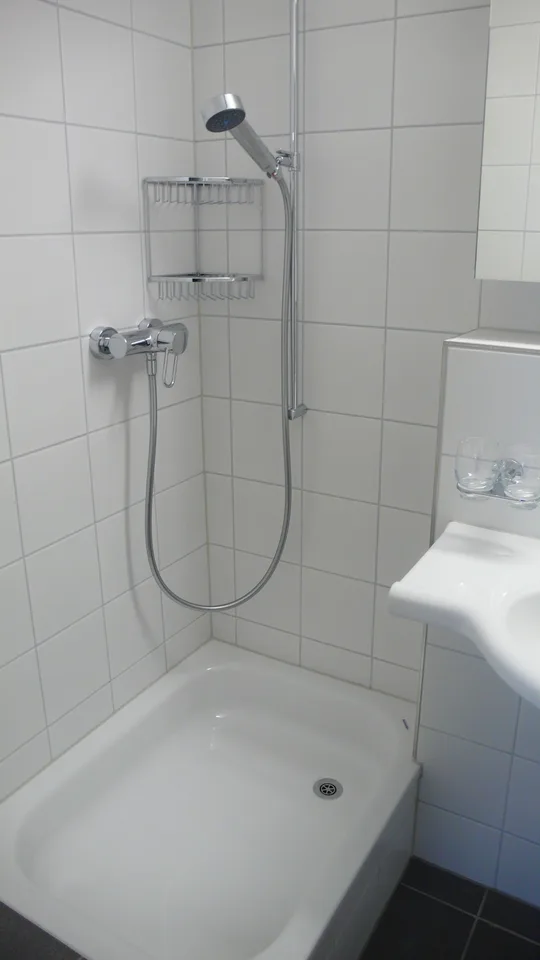 Appartement près de Sihl