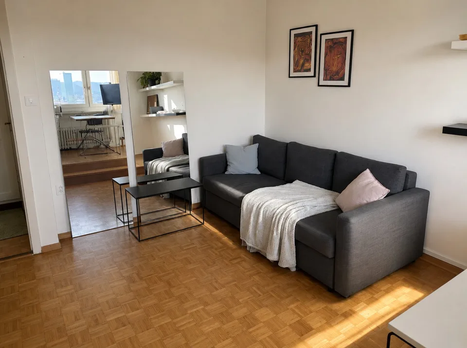 Spacious 2 room apartment in Wipkingen, available from early September