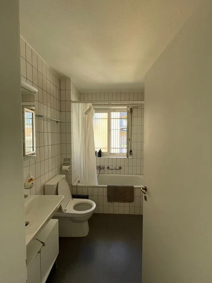 Helle 2-Zimmer-Wohnung, 5 Min. zum HB, mit Stadtblick, Zürich Kreis 6