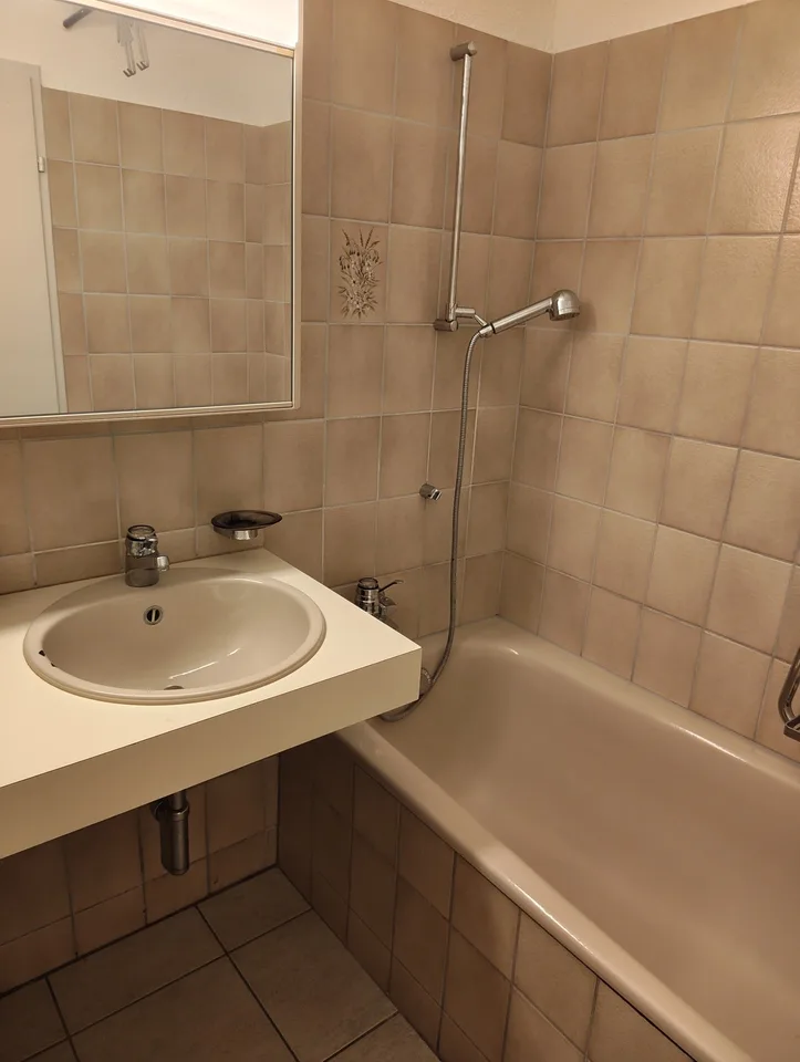 Helle 3 1/2 Zimmer Wohnung