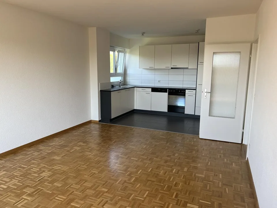 bel appartement - quartier de Schönberg, Fribourg