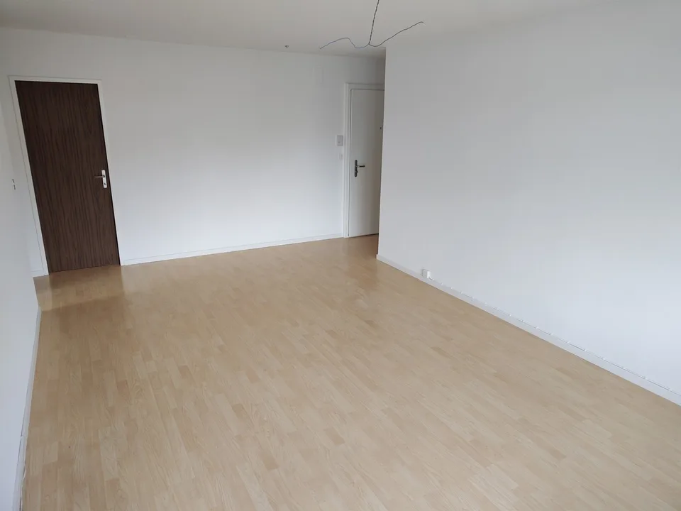 Gemütliche 3 1/2- Zimmerwohnung zu vermieten