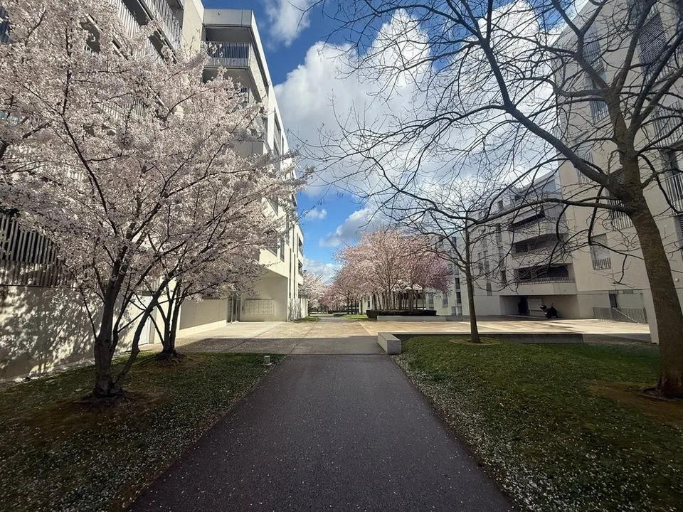 Appartement moderne au coeur de bussigny