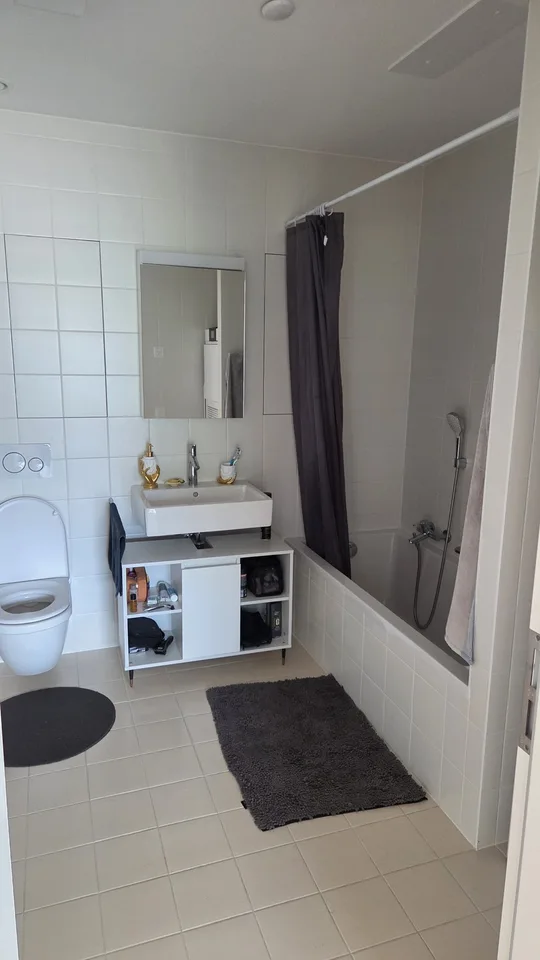 Helles, großes und möbliertes Apartment