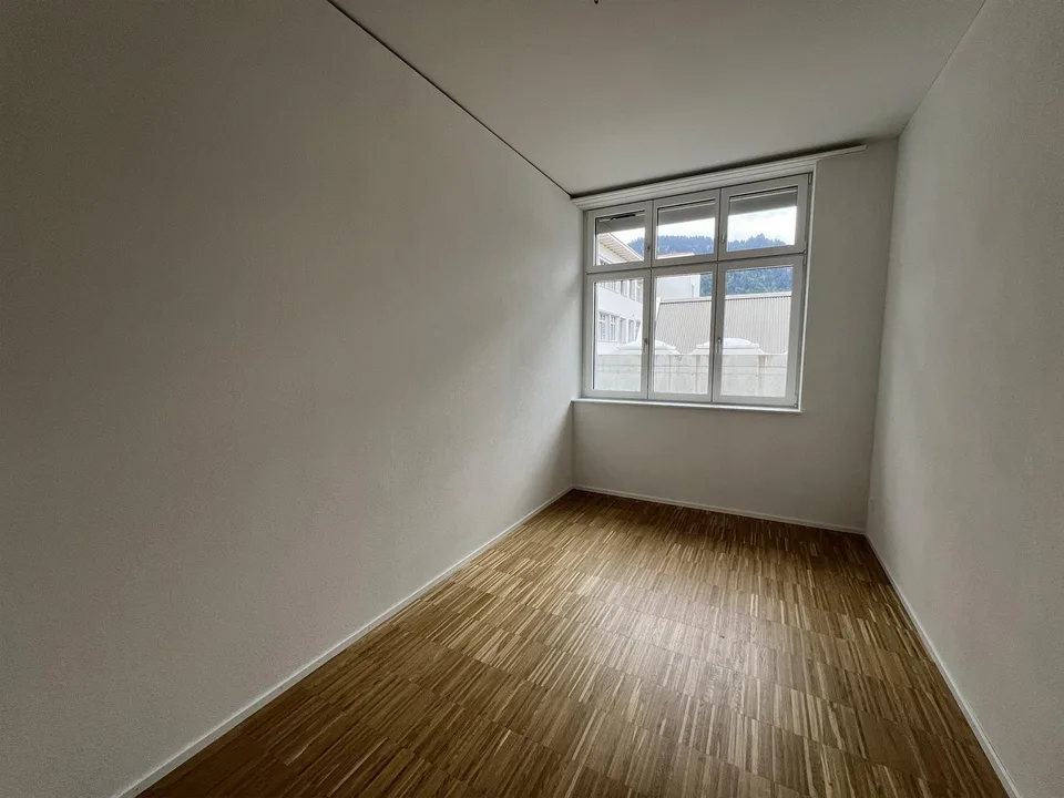 Modern, hell und grosszügig - 4.5-Zimmerwohnung im Neubau