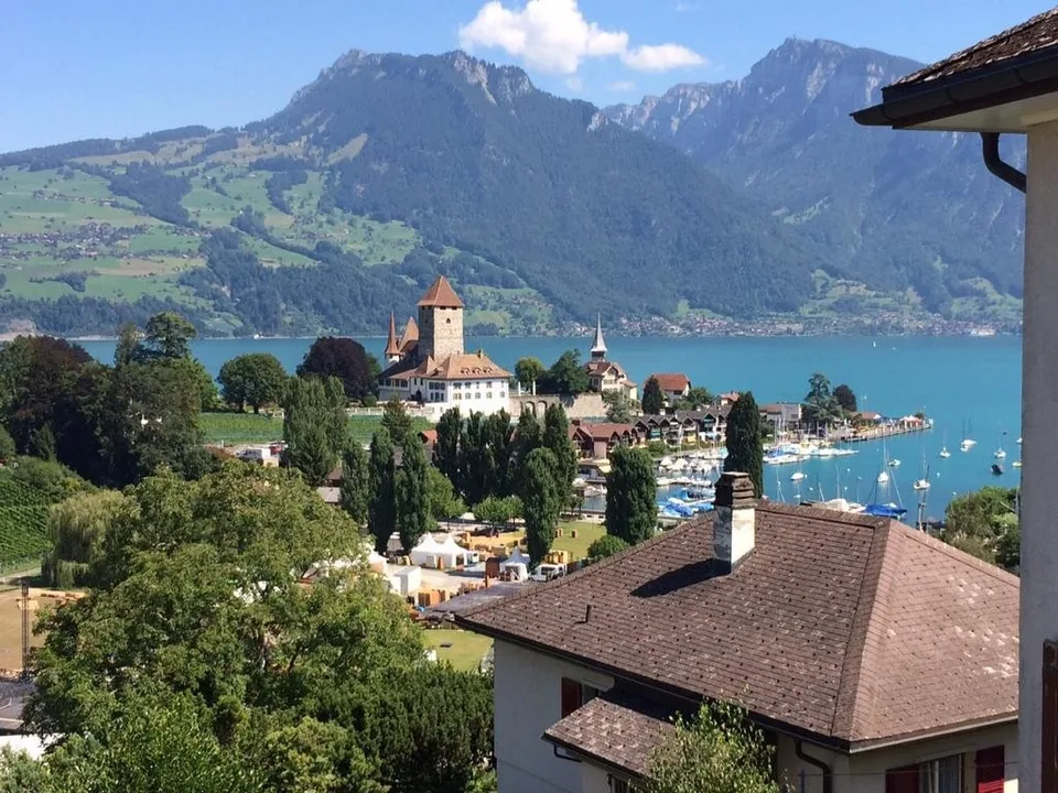 4.5-Zimmer-Wohnung mit herrlichem See- & Schlossblick und eigenem Garten