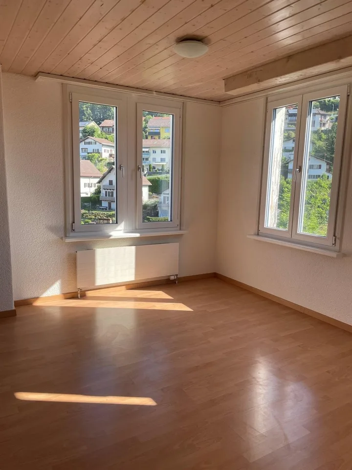 helle 2.5 Zimmer-Wohnung mit moderner Küche (<50 m2)