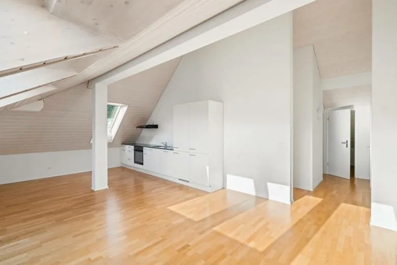Dachwohnung in Wülflingen