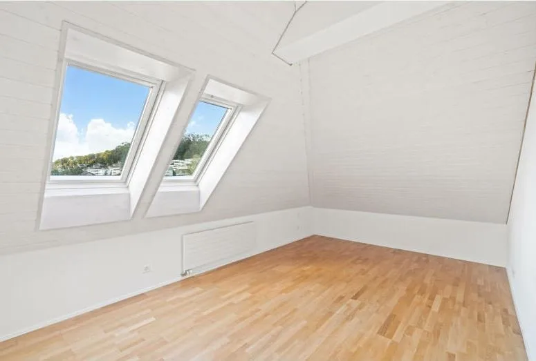 Dachwohnung in Wülflingen