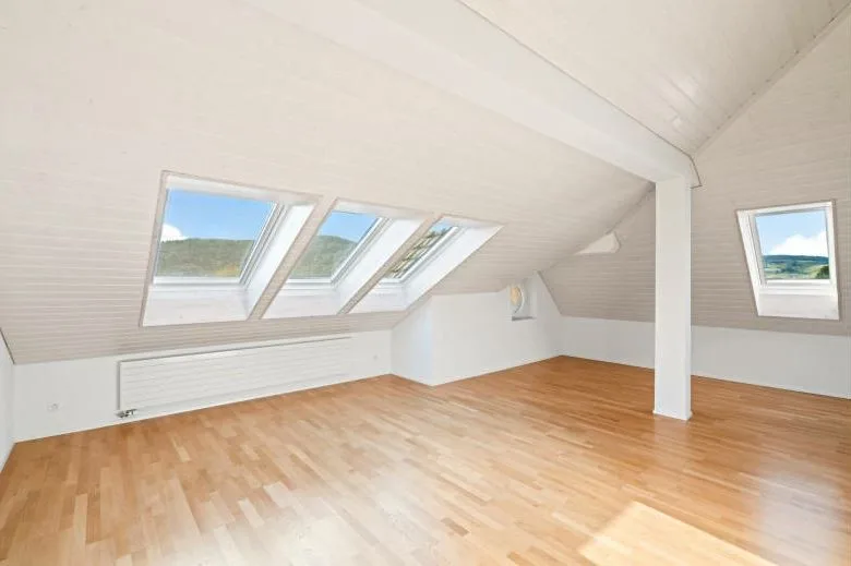 Dachwohnung in Wülflingen