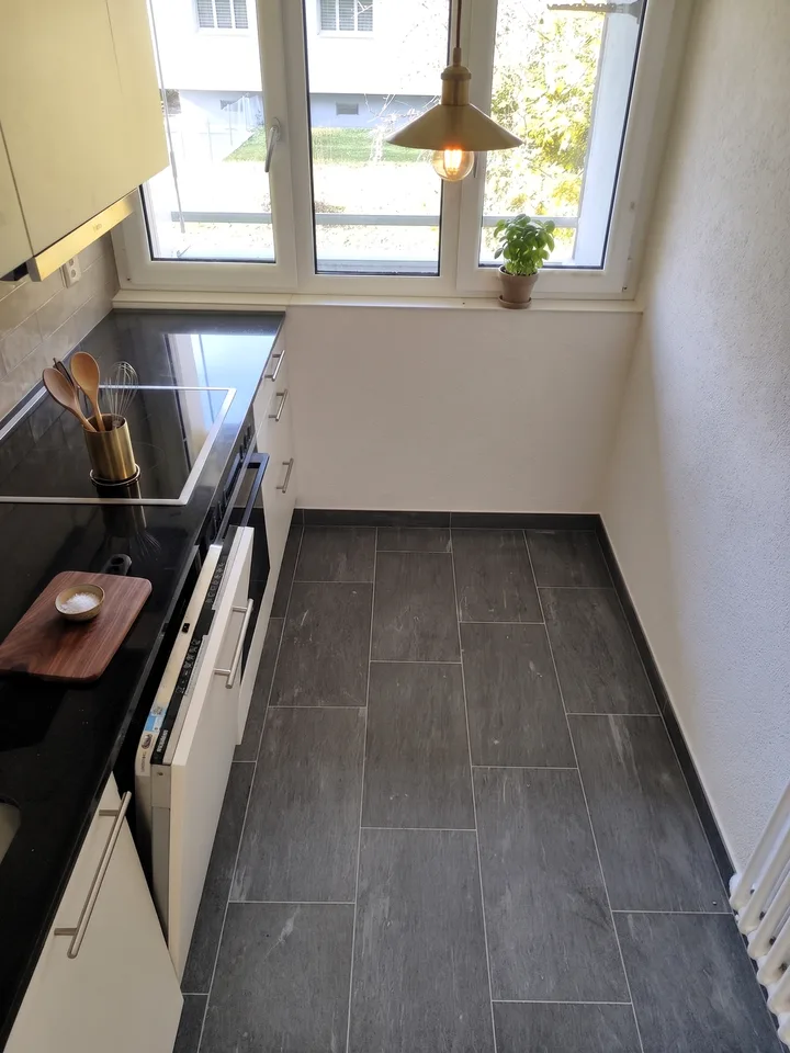 🌿 Furnished Room by the Limmat – Available Now!