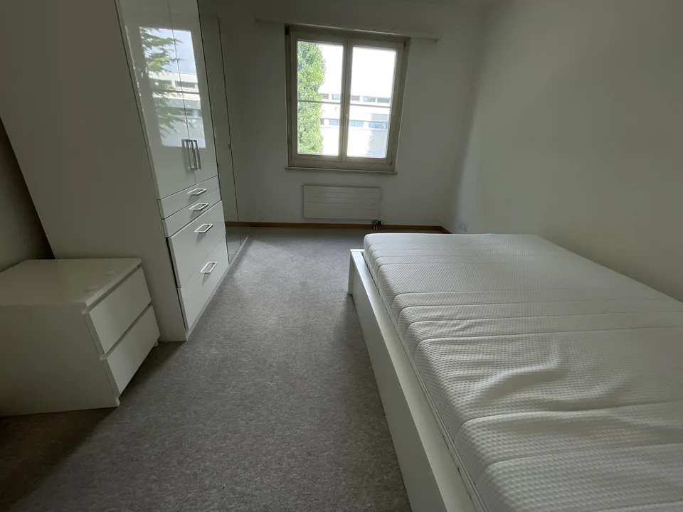 3.5 room apartments in schwamendinger.