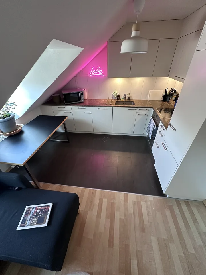 Nice, lux shared flat (2 of us total), recently renovated, room 14m